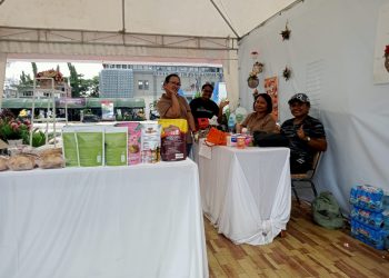 Genjot Ekonomi Kerayatan Dekrnasda Kabupaten Sorong Gelar Pelatihan Kreatif Bagi Masyarakat