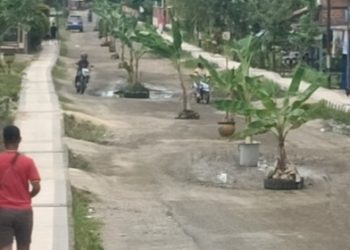 Aksi Spontan Tanam Pohon Pisang di Jalan Rusak, Warga Jalur A1 Aimas Tuntut Perbaikan Infrastruktur