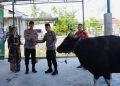 Kapolres Sorong Serahkan Hewan Kurban, Wujud Kepedulian Sosial dan Penguatan Iman di Hari Raya Idul Adha