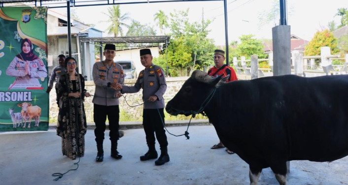 Kapolres Sorong Serahkan Hewan Kurban, Wujud Kepedulian Sosial dan Penguatan Iman di Hari Raya Idul Adha