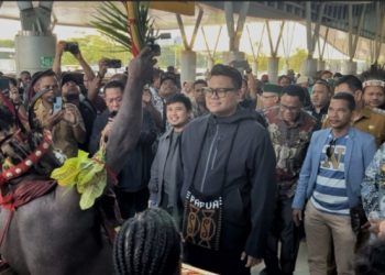 Sorong Menyala: Daud Yordan Naik Ring, Senator DPD RI Turun ke Tanah Malamoi