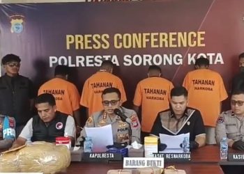 Buru DPO, Bongkar Sindikat Satu Per Satu Kurir Ganja Tertangkap Di Sorong