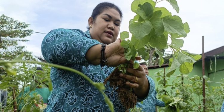 Lawan Rasa Malas, Ketua PKK Kabupaten Sorong Junita Linda Kamuru Dorong Pemanfaatan Pekarangan Rumah