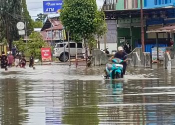 Normalisasi Jadi Tuntutan, Warga Mariat Tak Ingin Hidup Bersama Buaya Saat Banjir
