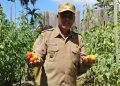 Wabup Sorong Dorong Swasembada Pangan Lewat Pemberdayaan Petani Hortikultura