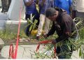 Tuntutan Hak Ulayat, Masyarakat Adat Makmini Palang Pasar Mariat Kabupaten Sorong: Aktivitas Lumpuh dan Puluhan Kendaraan Terjebak Macet