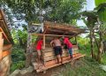 Pemerintah Pusat Dorong Ekonomi Adat Suku Biak Lewat Program Pengembangan Ternak Babi