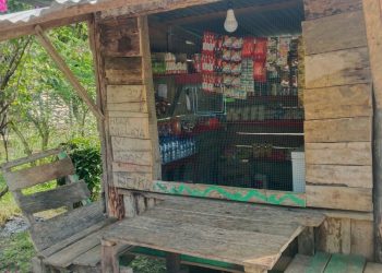 Presiden Prabowo Perkuat Ekonomi OAP, Salurkan Bantuan Usaha bagi Masyarakat Suku Moi di Kabupaten Sorong