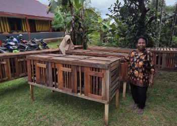 Membangun Ekonomi Jemaat Lewat Ternak Ayam,Pemerintah Pusat Serahkan Bantuan Usaha Ternak Ayam Kepada PGPI Kabupaten Sorong. 