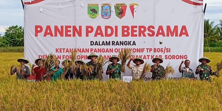 Yonif TP 806/SI Perkuat Pengendalian Pangan Daerah, Panen Padi Bersama Forkopimda Sorong Jadi Penanda Peran Satuan Baru